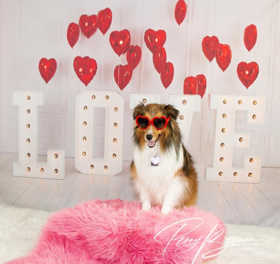 Saint Valentin Ballons Coeur Rouge LOVE Toile de Fond SH-856