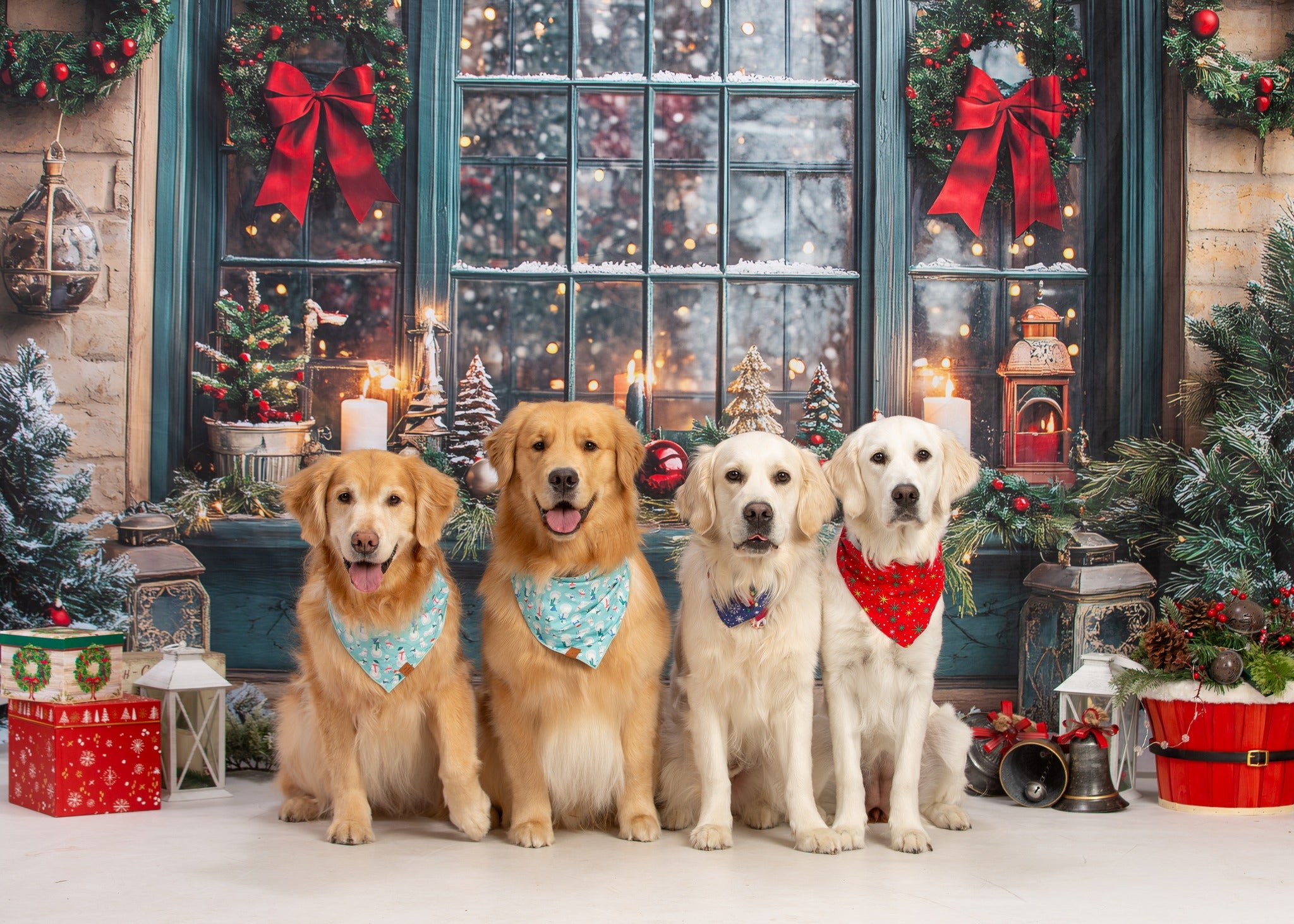Toile de fond Fenêtre Couronne Illuminée de Noël RR8-109