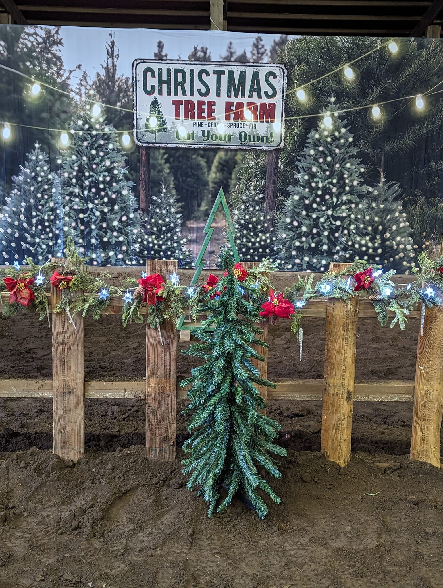 Toile de fond de lumières de chaîne de ferme d'arbre de Noël pour la photographie D830