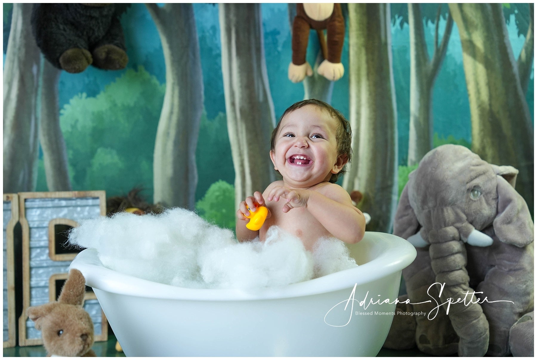Fond pour nouveau-nés Forêt enchantée Arbres Fond photo pour enfants MRR10-24