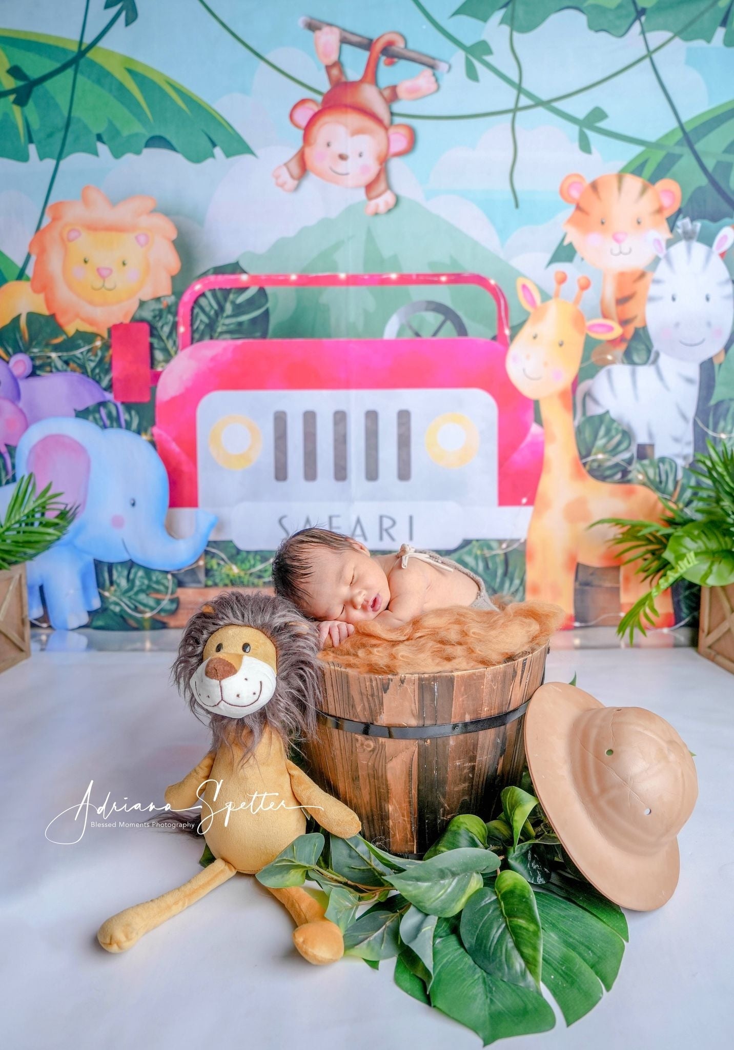 Fond photo pour enfants Safari Jungle Aventure Fonds pour enfants MRR10-50