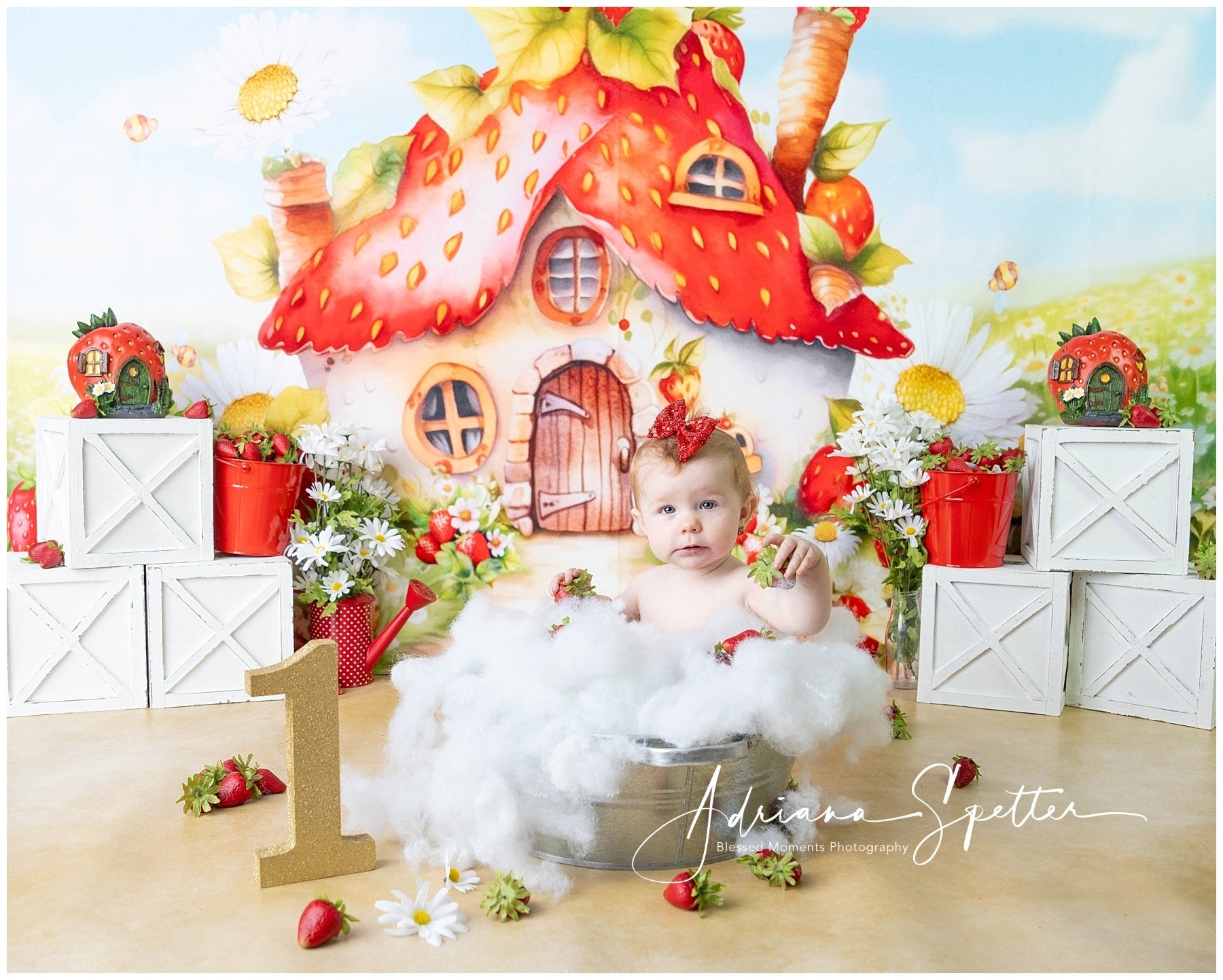 Fonds enfants Maison fraise Fleurs Fond nouveau-né MRR10-28