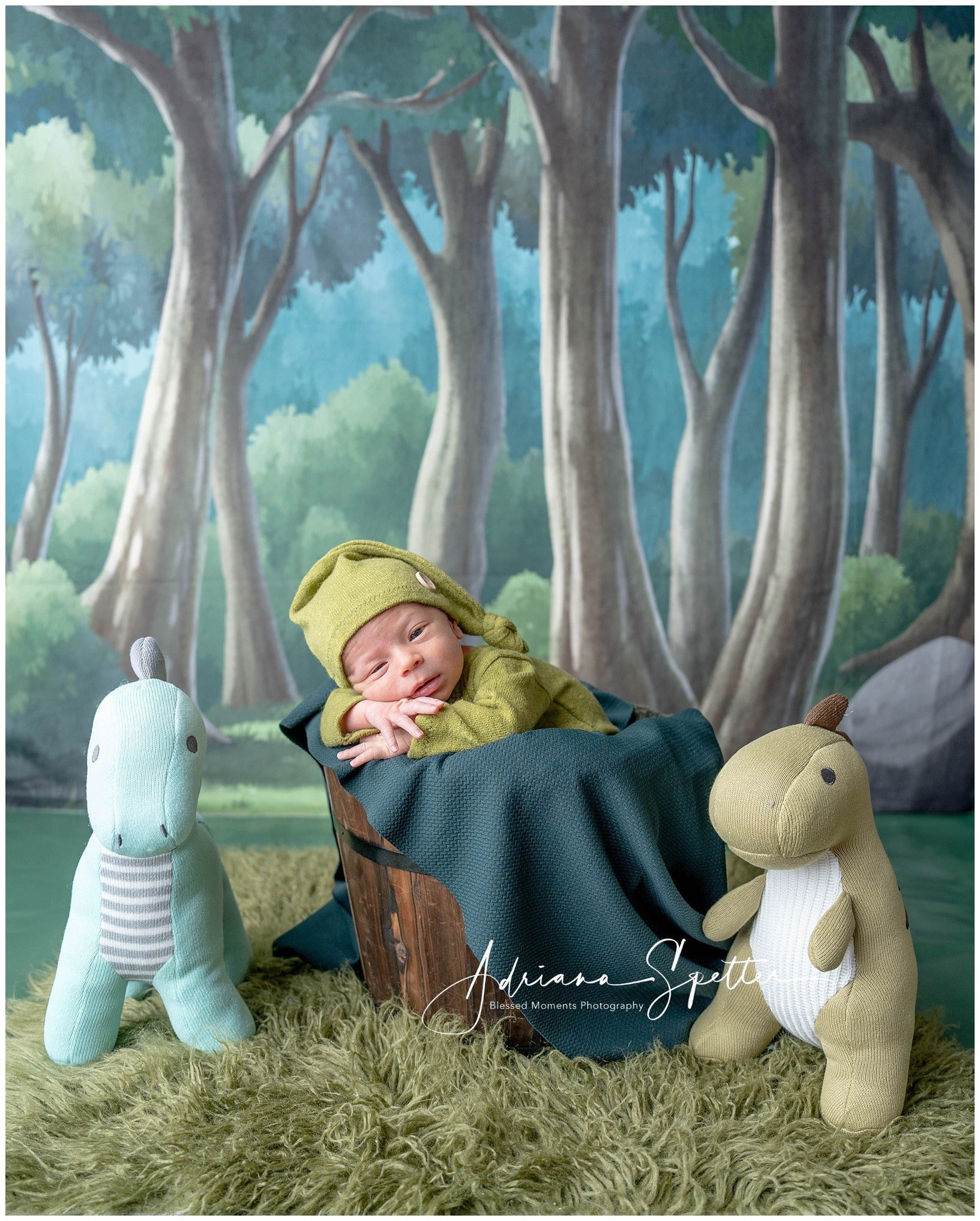 Fond pour nouveau-nés Forêt enchantée Arbres Fond photo pour enfants MRR10-24