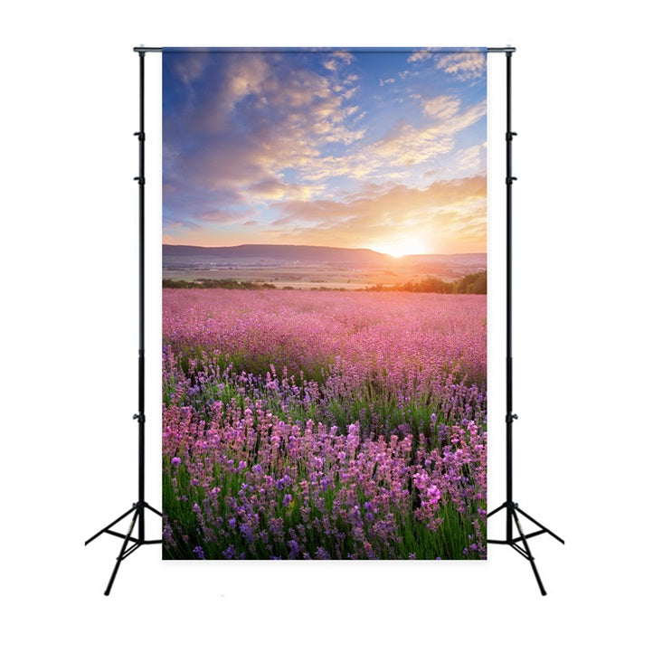 Fond Photo Fleurs Éclat Doré Lavande Violette BRP1-496