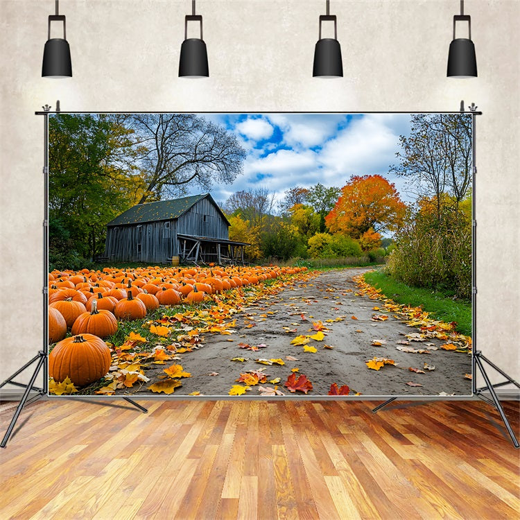 Automne Toile de Fond Ferme Rustique Champ de Citrouilles BRP10-250