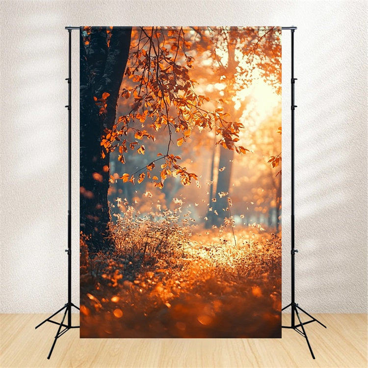 Automne Toile de Fond Rayons de Soleil Arbres Photographie BRP10-265