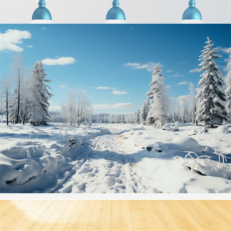 Toile de fond Hiver Bois Givrés Ciel Bleu BRP11-266