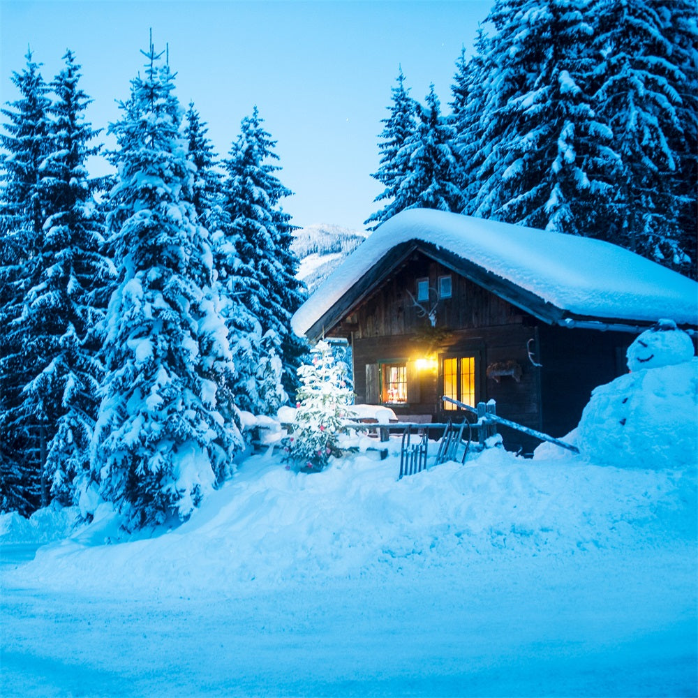 Toile de fond Hiver Scène Chalet Forêt de Sapins Enneigés BRP11-494
