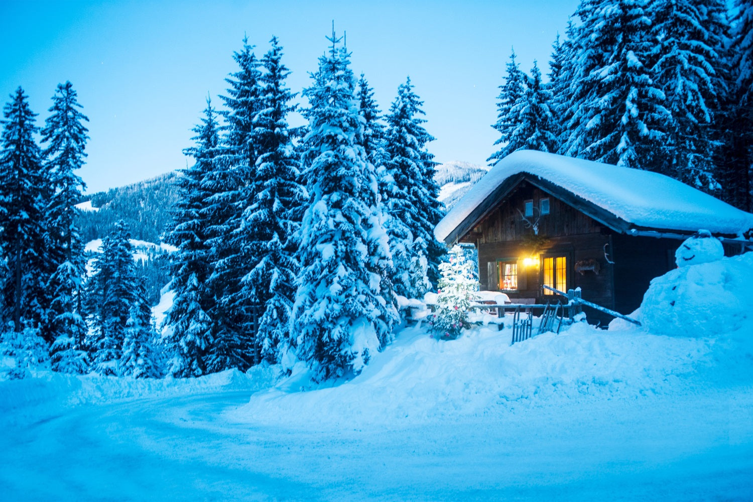 Toile de fond Hiver Scène Chalet Forêt de Sapins Enneigés BRP11-494