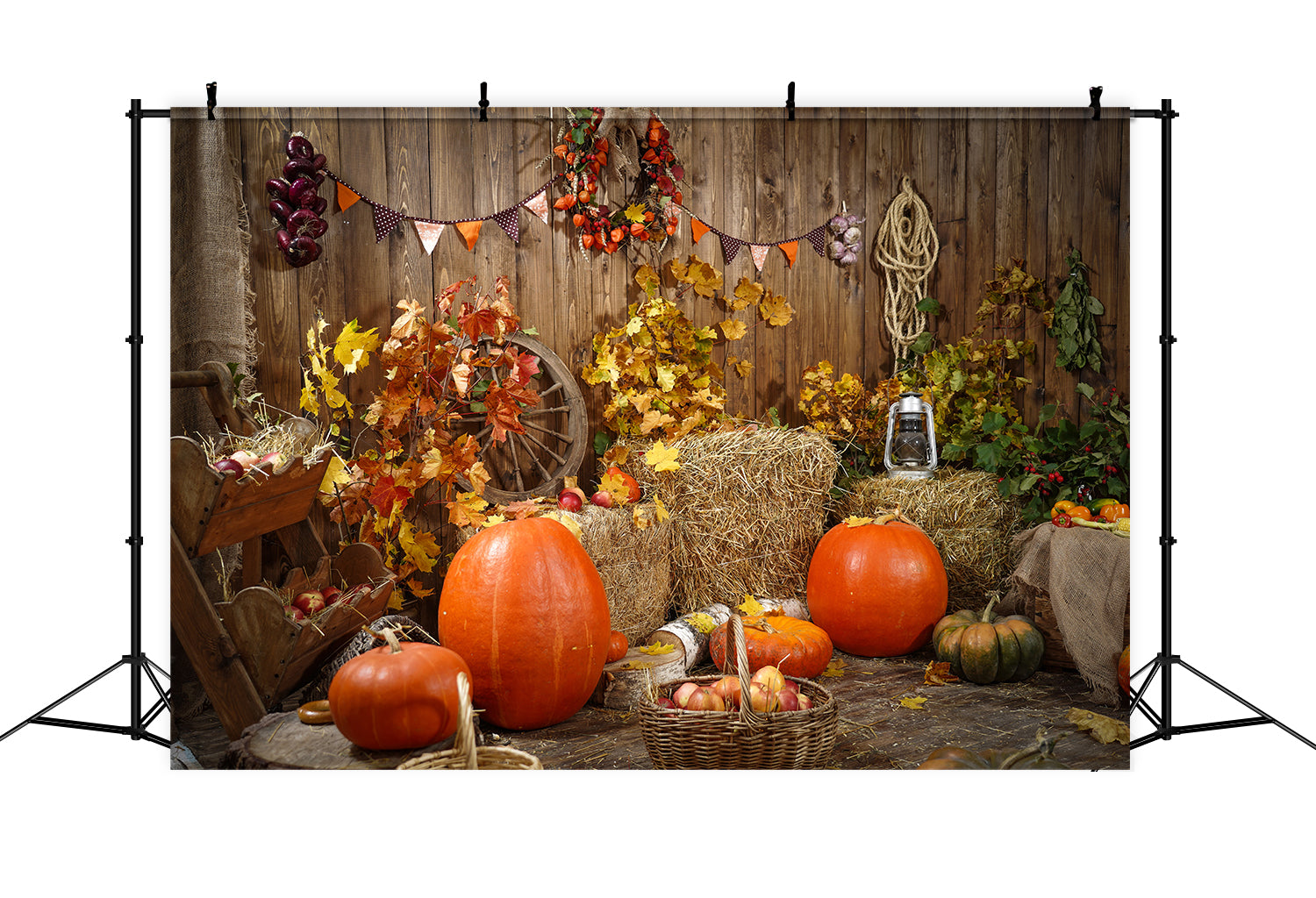 Toile de fond de récolte d'automne avec citrouilles BRP7-117