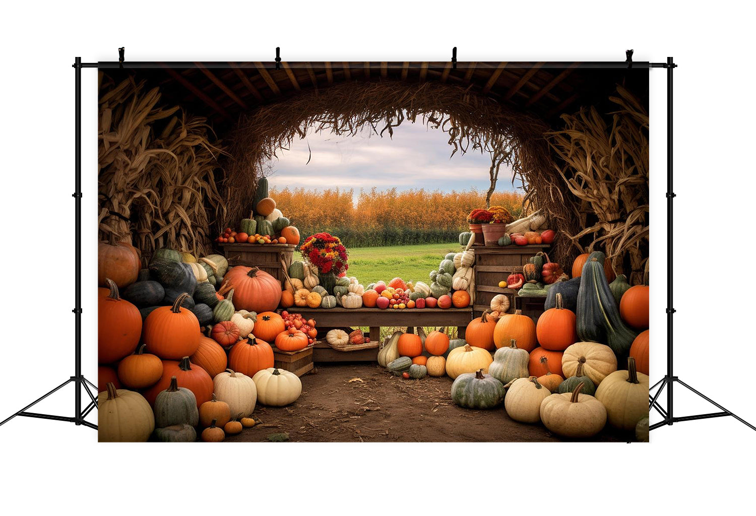 Toile de fond de ferme de citrouilles d'automne BRP7-122