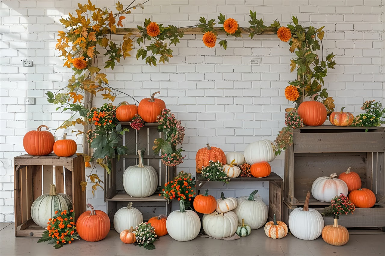 Toile de fond d'étagère avec citrouilles et mur blanc d'automne BRP7-141