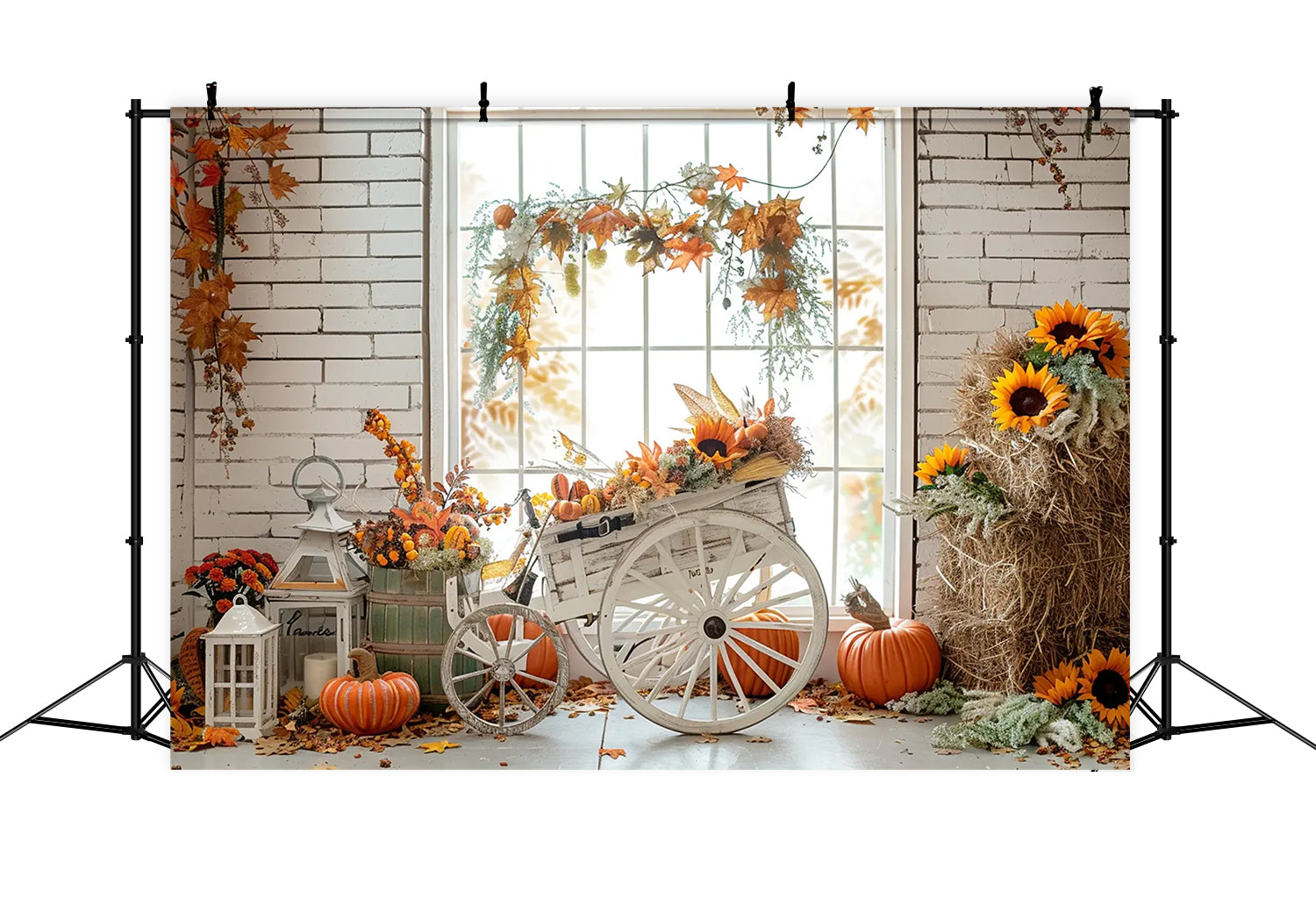 Toile de fond de tricycle avec citrouilles, paille et feuilles d'érable d'automne BRP7-163