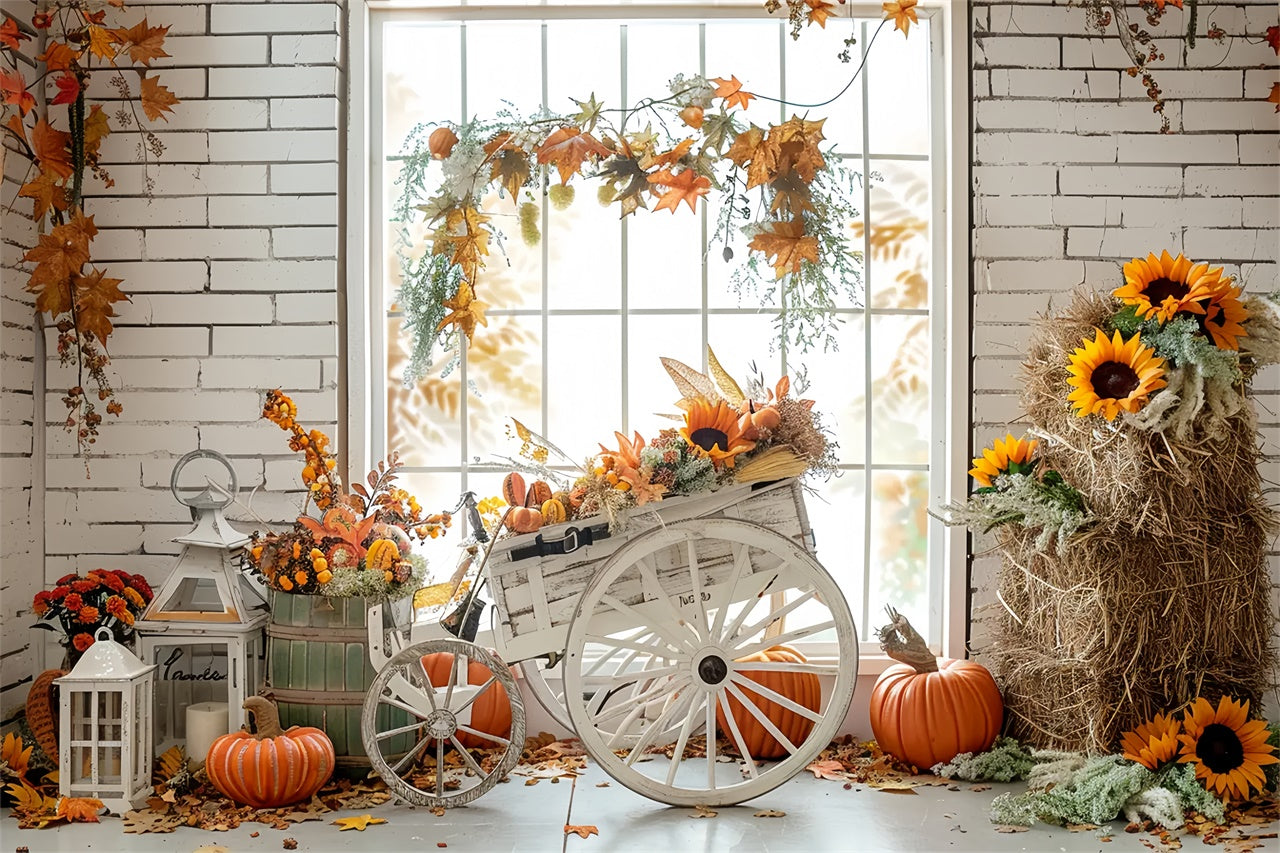 Toile de fond de tricycle avec citrouilles, paille et feuilles d'érable d'automne BRP7-163