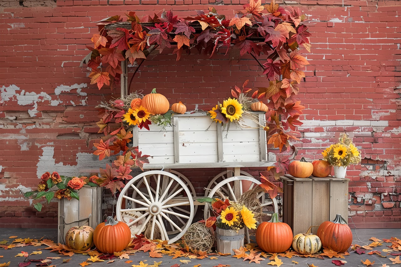 Toile de fond de mur en briques avec stand de citrouilles en ruine d'automne BRP7-167