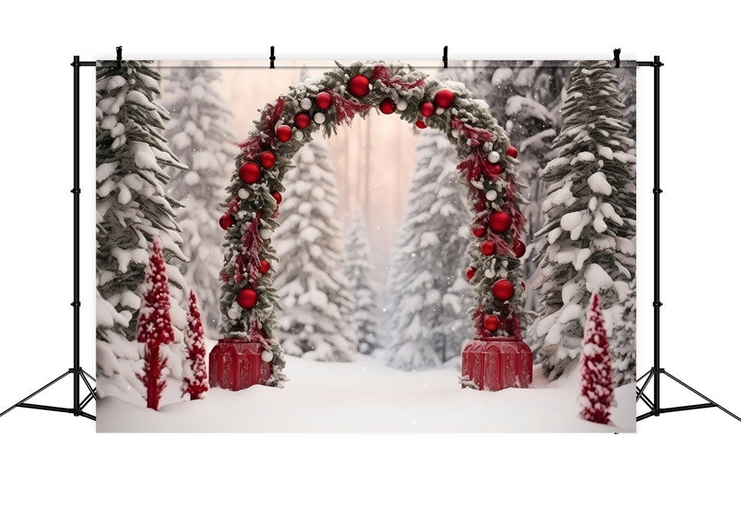 Toile de Fond Sentier Magique avec Arche Enneigée de Noël BRP8-127