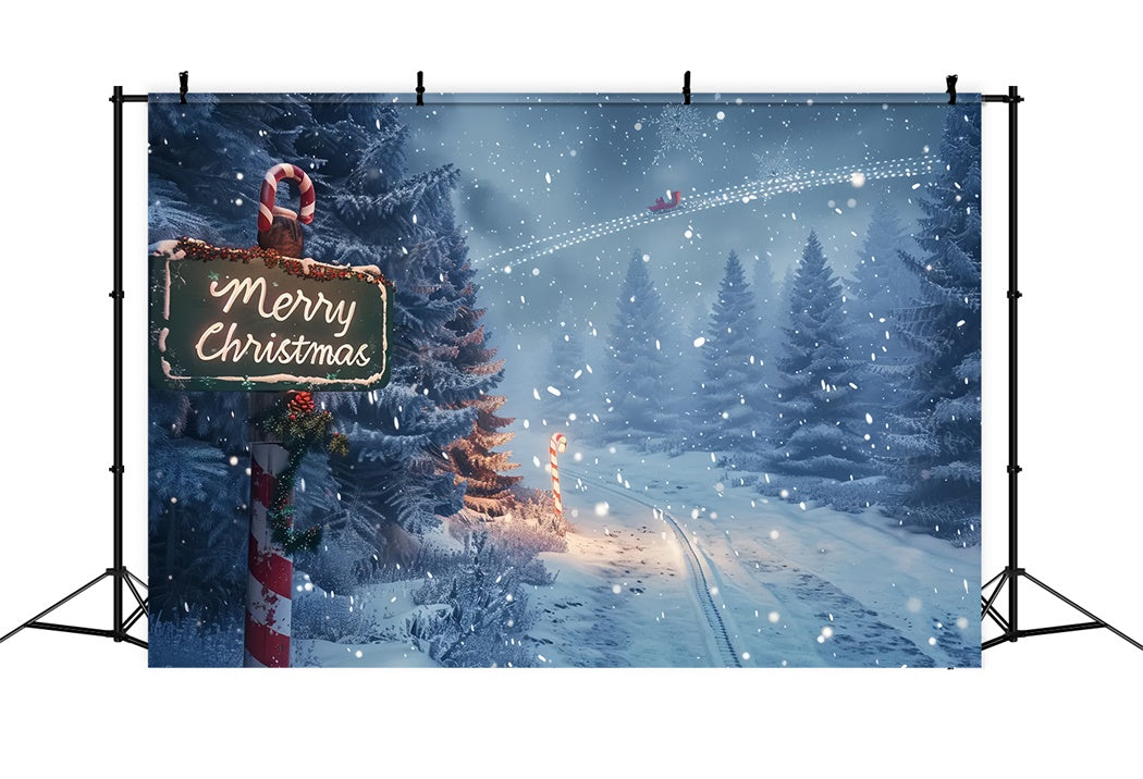 Toile de fond de Sentier Enchanté de Forêt de Noël BRP8-15