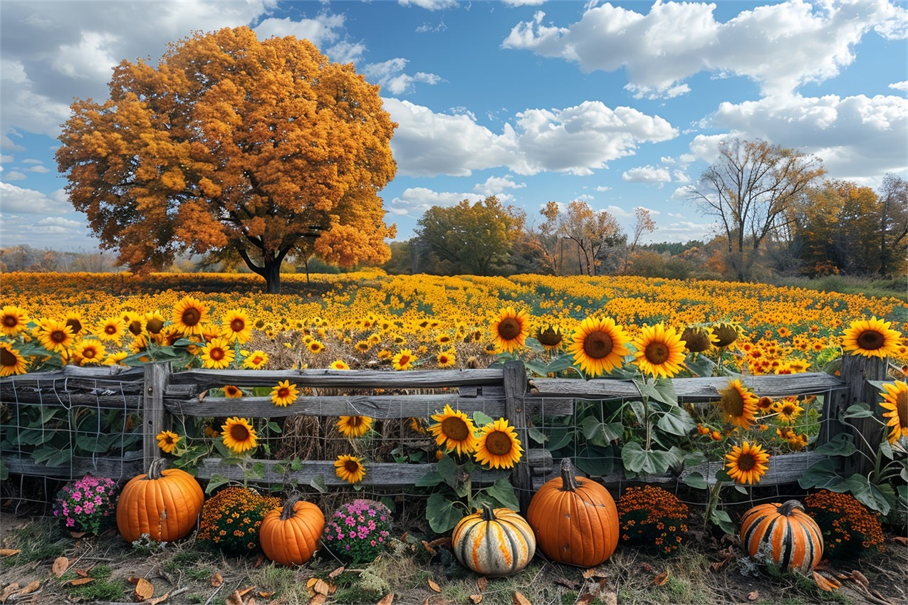 Toile de Fond Champ de Tournesols d'Automne Grand Arbre Citrouilles BRP9-186