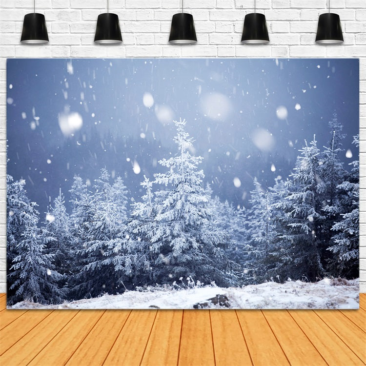 Toile de fond Nuit d'hiver Neige Tombée Lune et étoiles BRP9-214