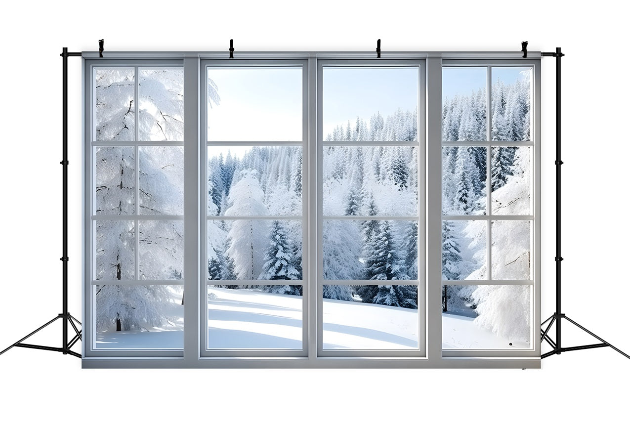 Toile de fond Forêt enneigée Vue à travers fenêtre givrée BRP9-294