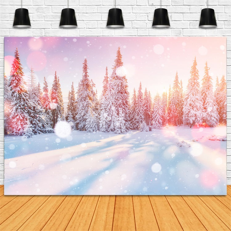 Toile de fond Lumière du matin Forêt de pins enneigée Hiver BRP9-299