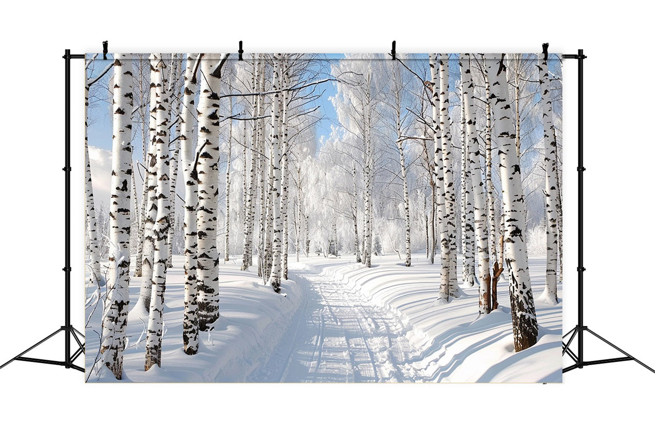 Toile de fond Chemin enneigé à travers forêt hivernale BRP9-321