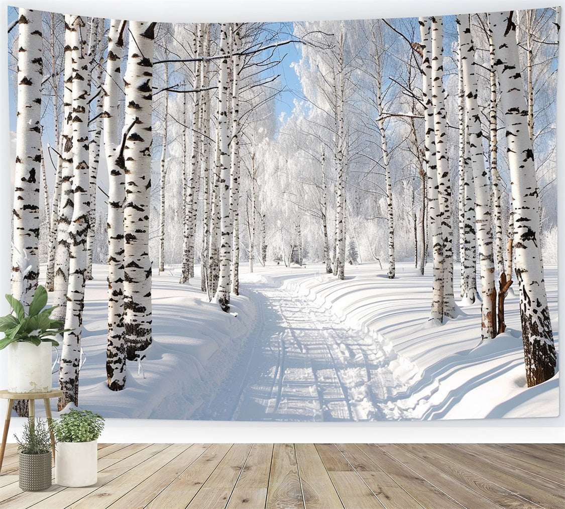 Toile de fond Chemin enneigé à travers forêt hivernale BRP9-321