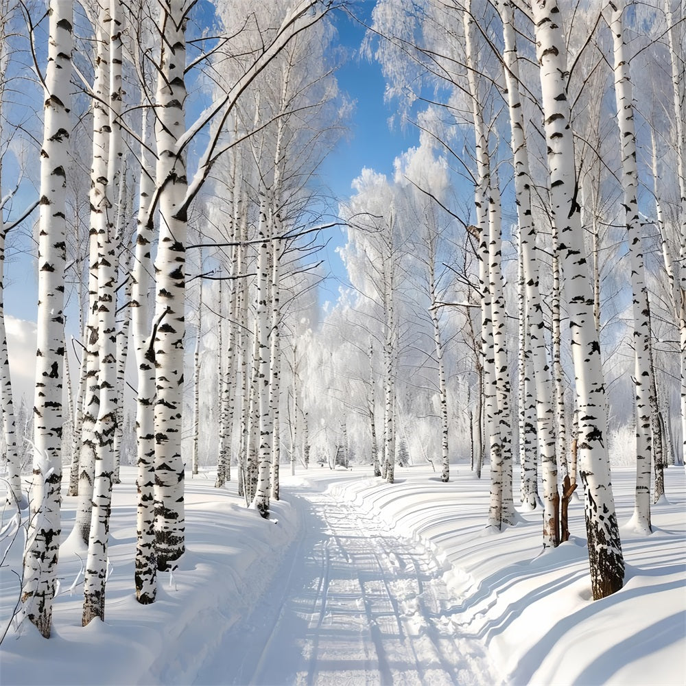 Toile de fond Chemin enneigé à travers forêt hivernale BRP9-321