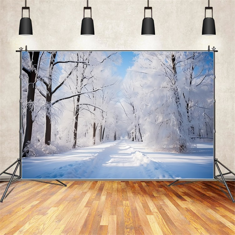Toile de fond Journée givrée Forêt hivernale Chemin BRP9-322