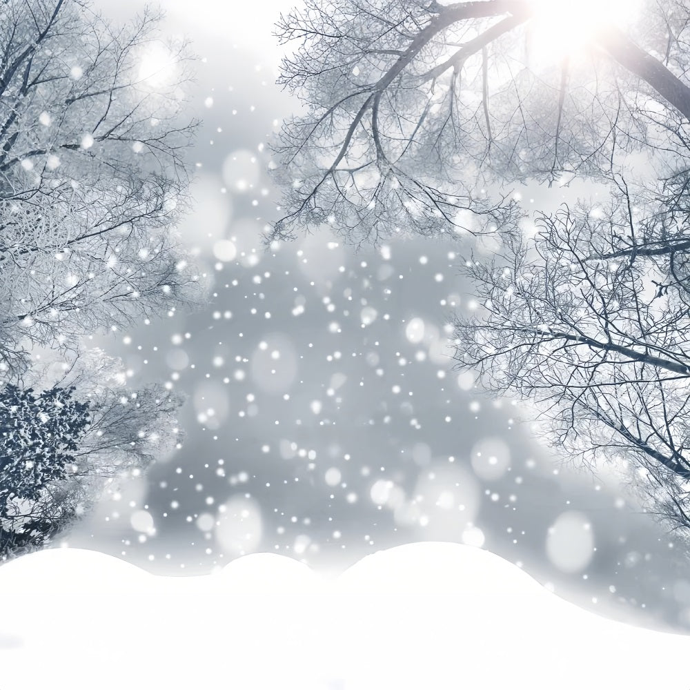 Toile de fond Forêt scintillante Flocons de neige givrés Hiver BRP9-344
