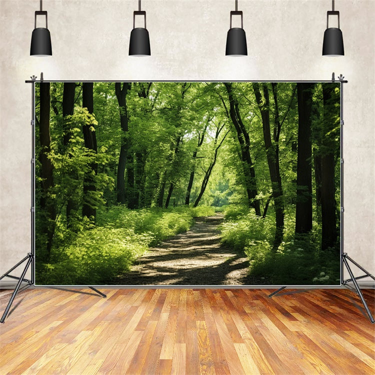 Toile de Fond Bois Photo Sentier Ensoleillé Forêt Luxuriante CJJ2-121