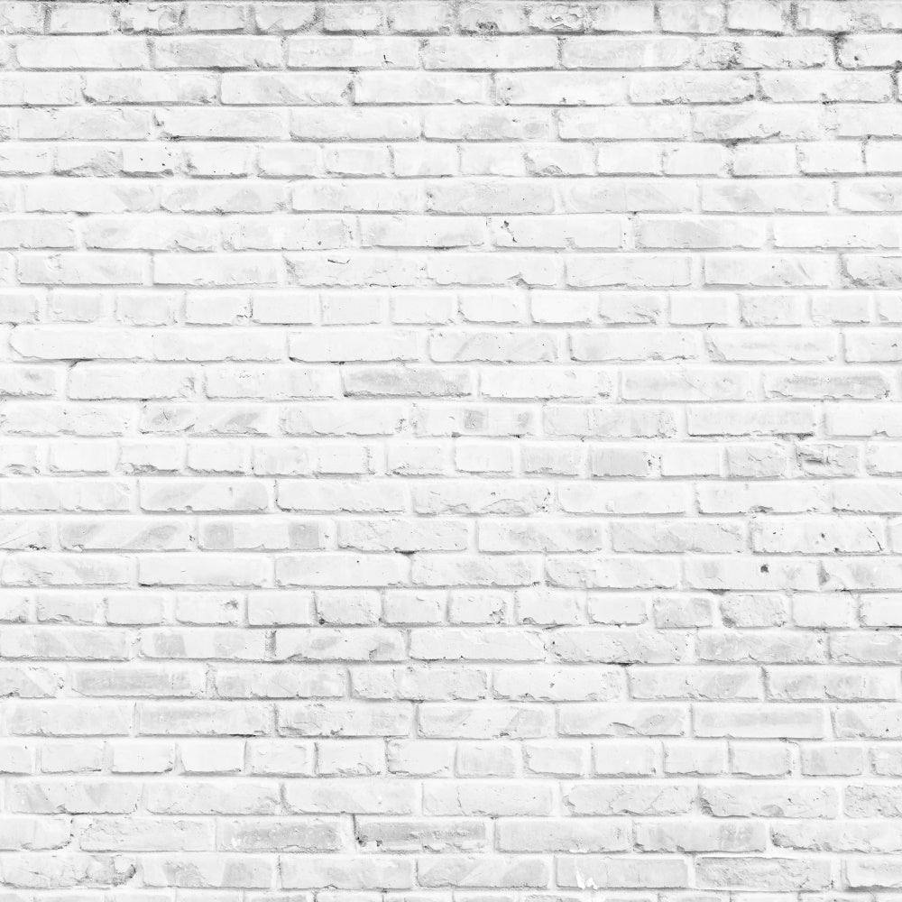 Toile de fond Mur Brique Blanc Classique Lumineux CJJ3-21