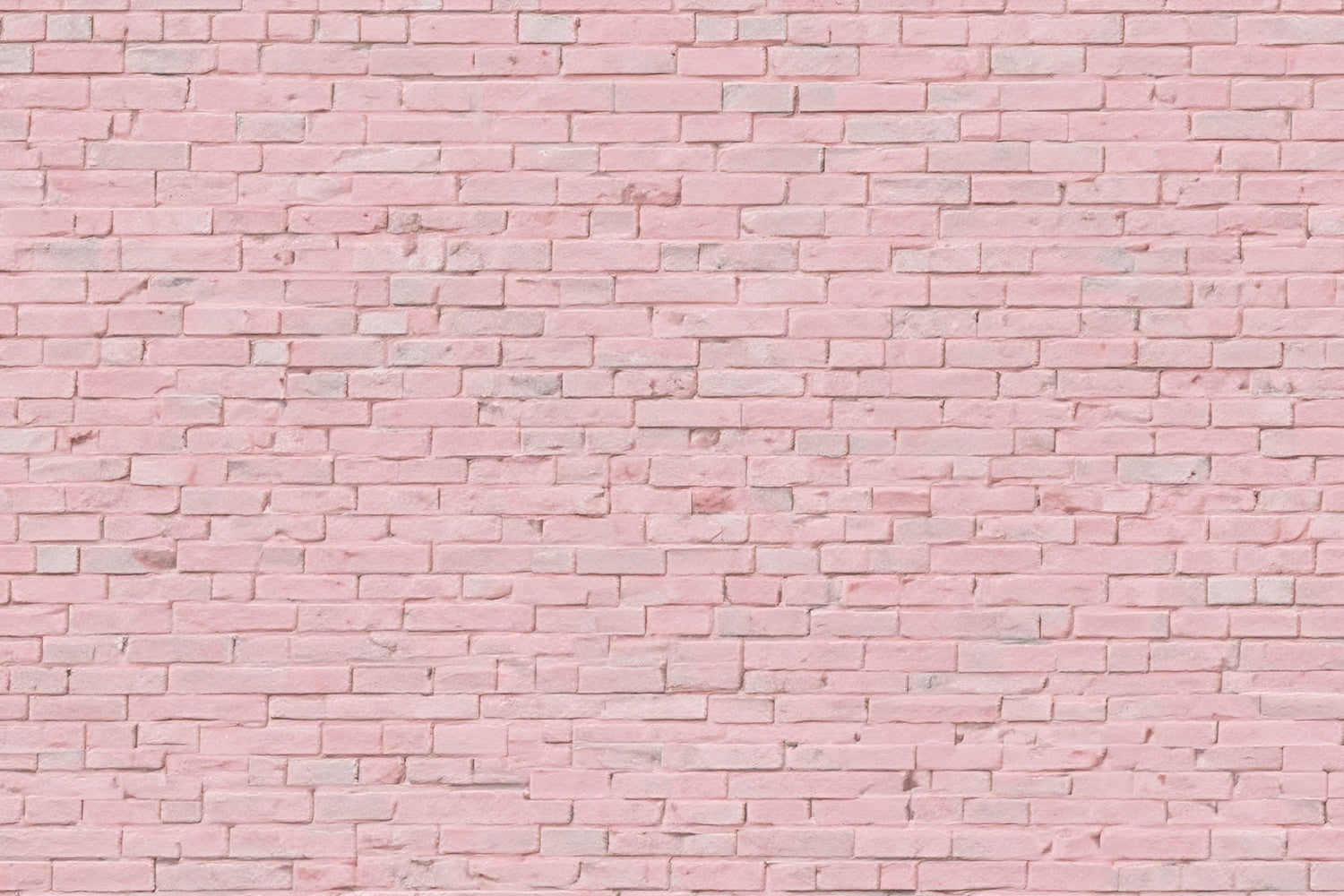 Toile de fond Photo Brique Minimaliste Rose CJJ3-26