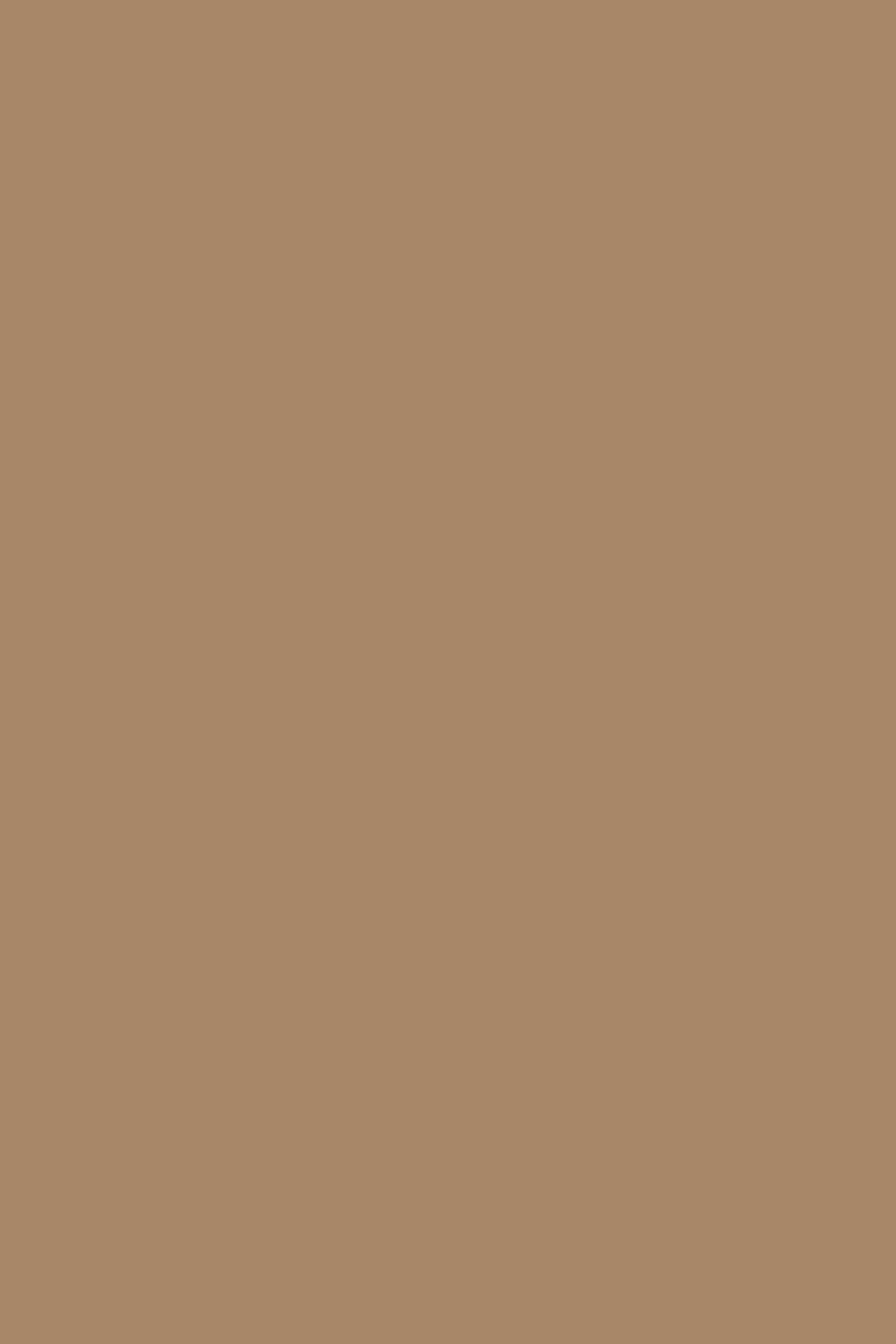 Toile de fond Caramel Chaud Éclat CSH4-166