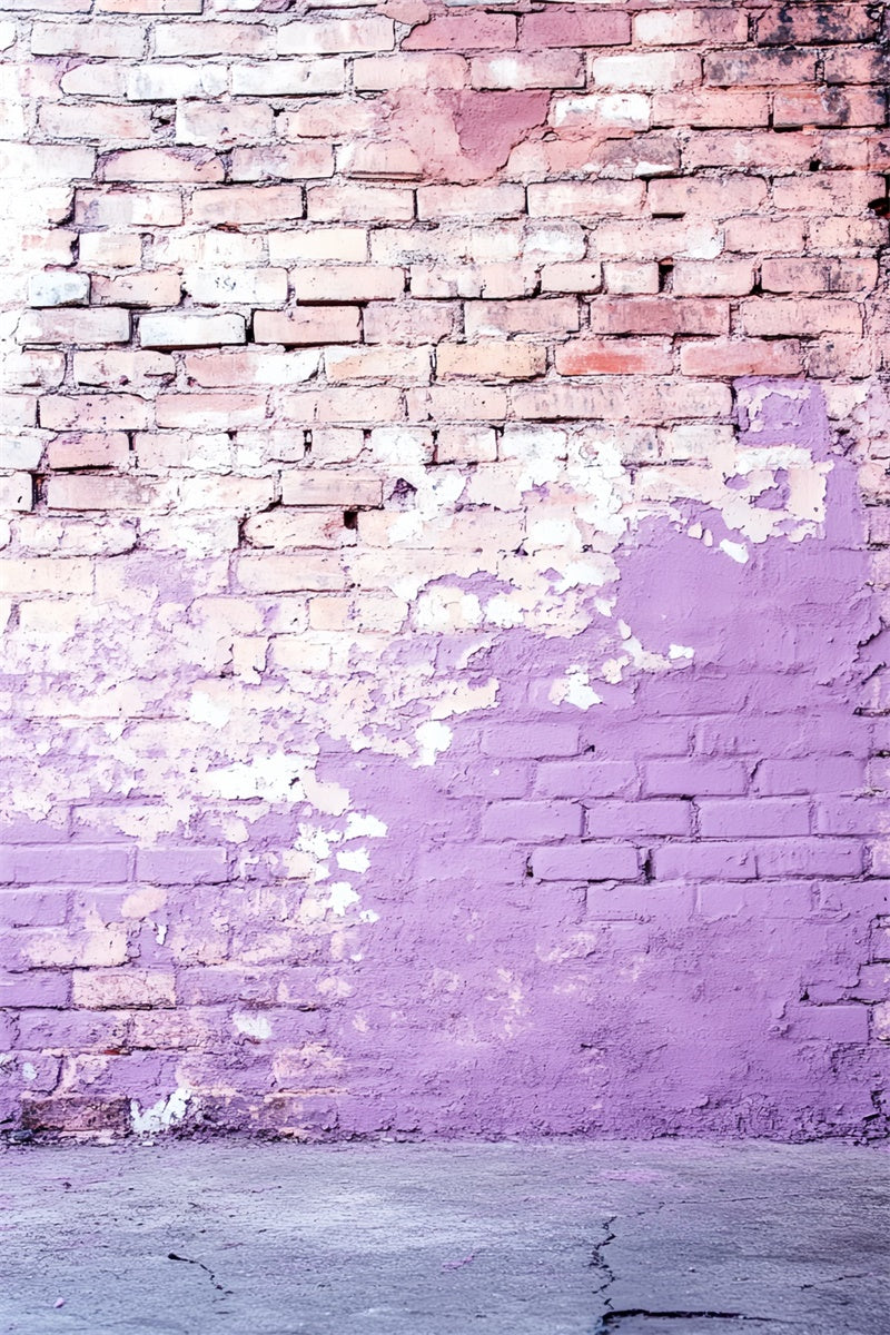 Toile de fond Photo Mur de Brique Lilas Fané Urbain CSH6-156