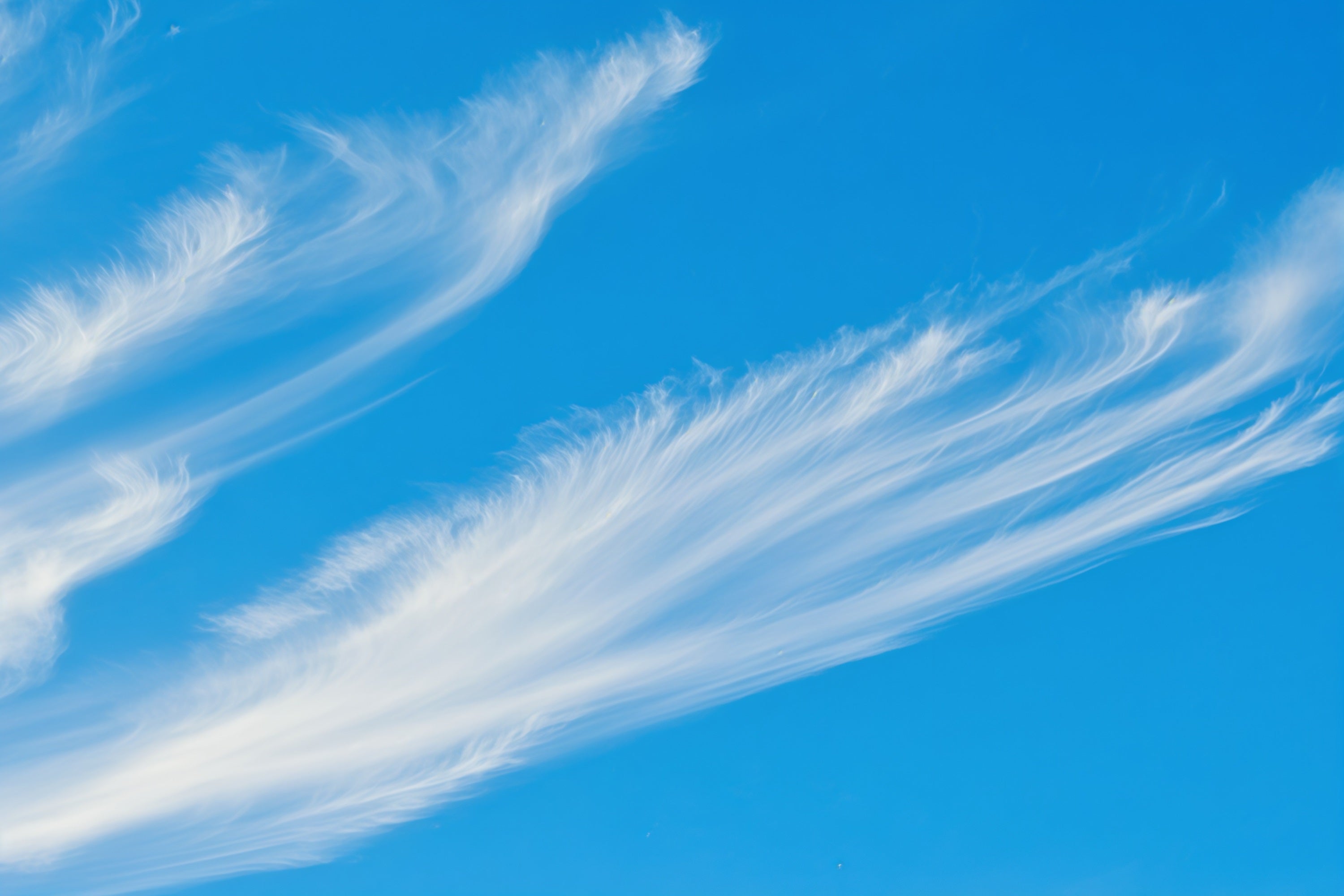 Toile de fond Photo Ciel Ciel Bleu Cirrus Légers CSH62-135