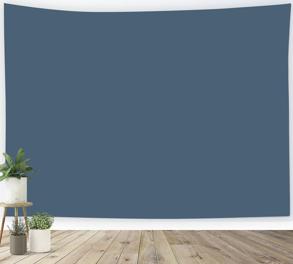 Fond Studio Portrait Bleu Bleu Marine Classique Profondeur Riche CSH62-15