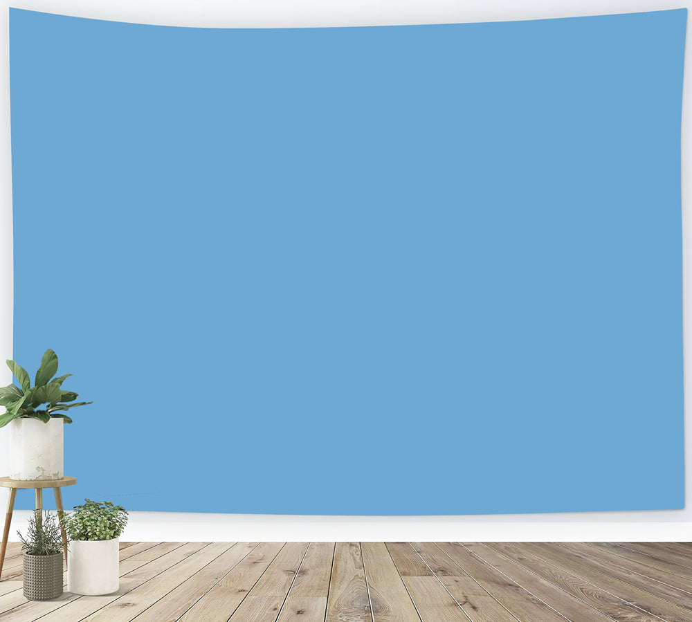 Toile de Fond Photographie Bleue Ton Bleu Ciel Clair CSH62-17