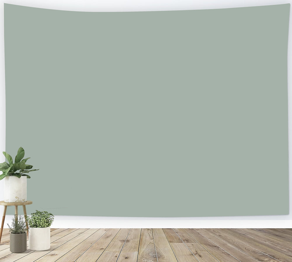 Fond Studio Verdure Vert Sauge Atténué Calme Naturel CSH62-19