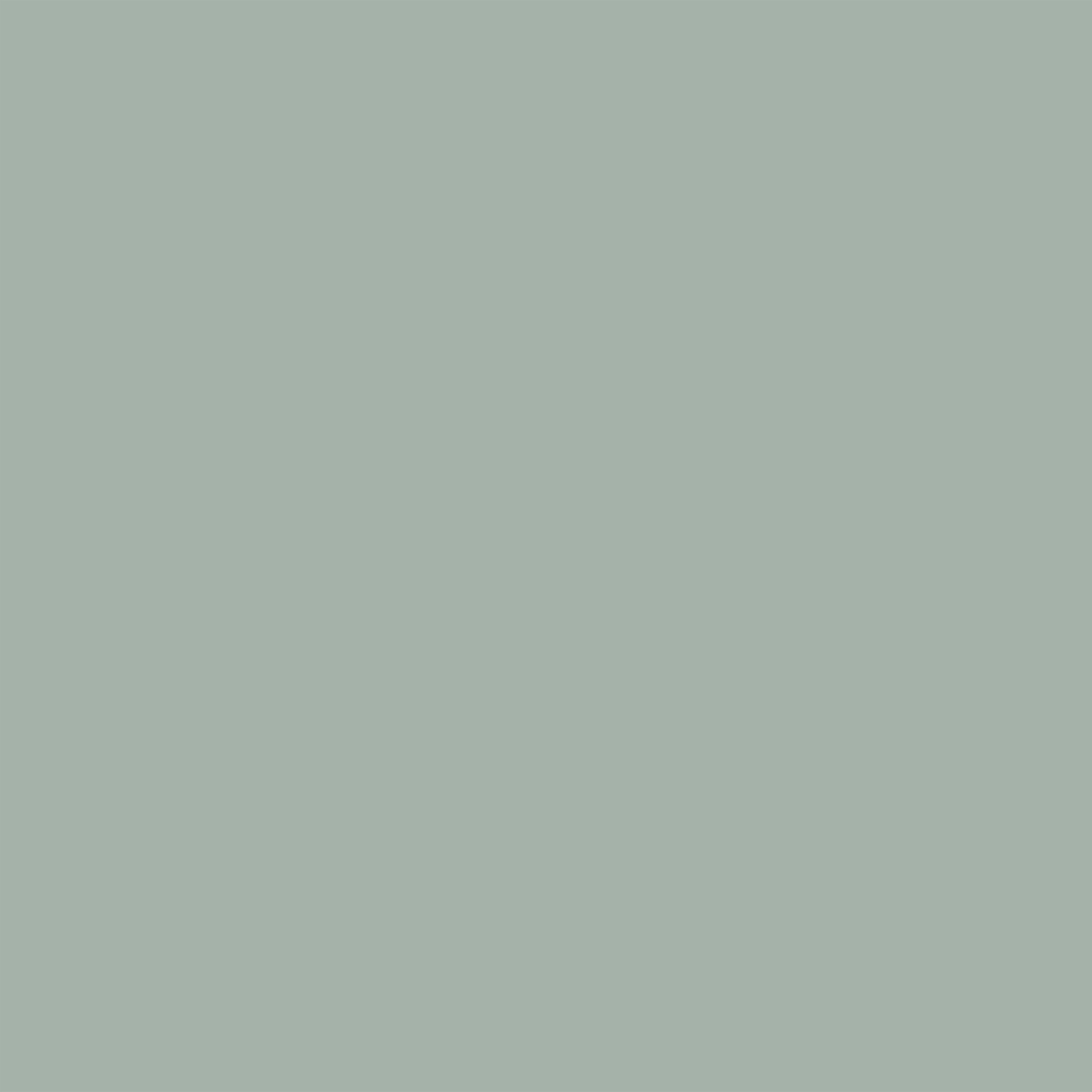 Fond Studio Verdure Vert Sauge Atténué Calme Naturel CSH62-19