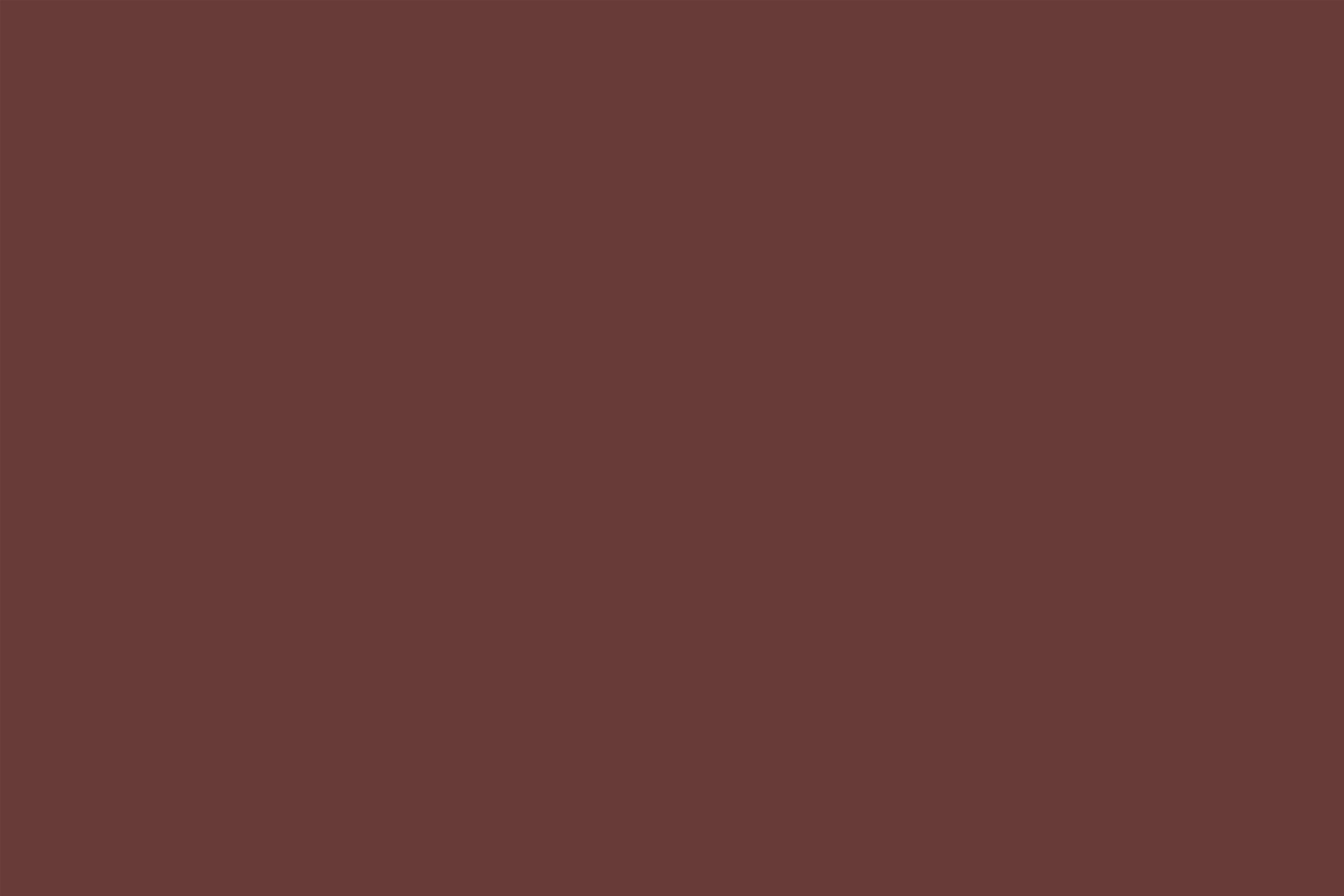 Toile de Fond Marron Marron Châtaigne Riche Ton Mat CSH62-25