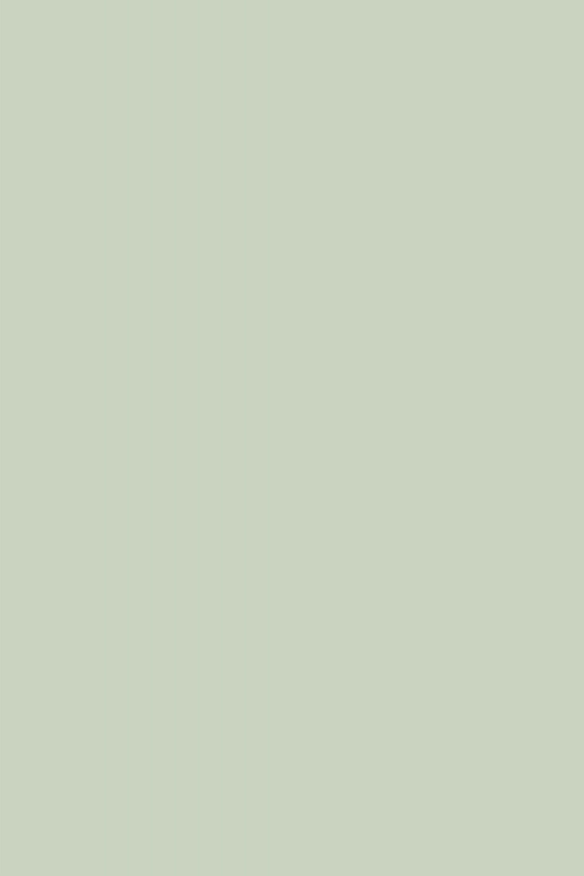 Toile de Fond Vert Vert Sauge Doux Nuance Naturelle CSH62-8