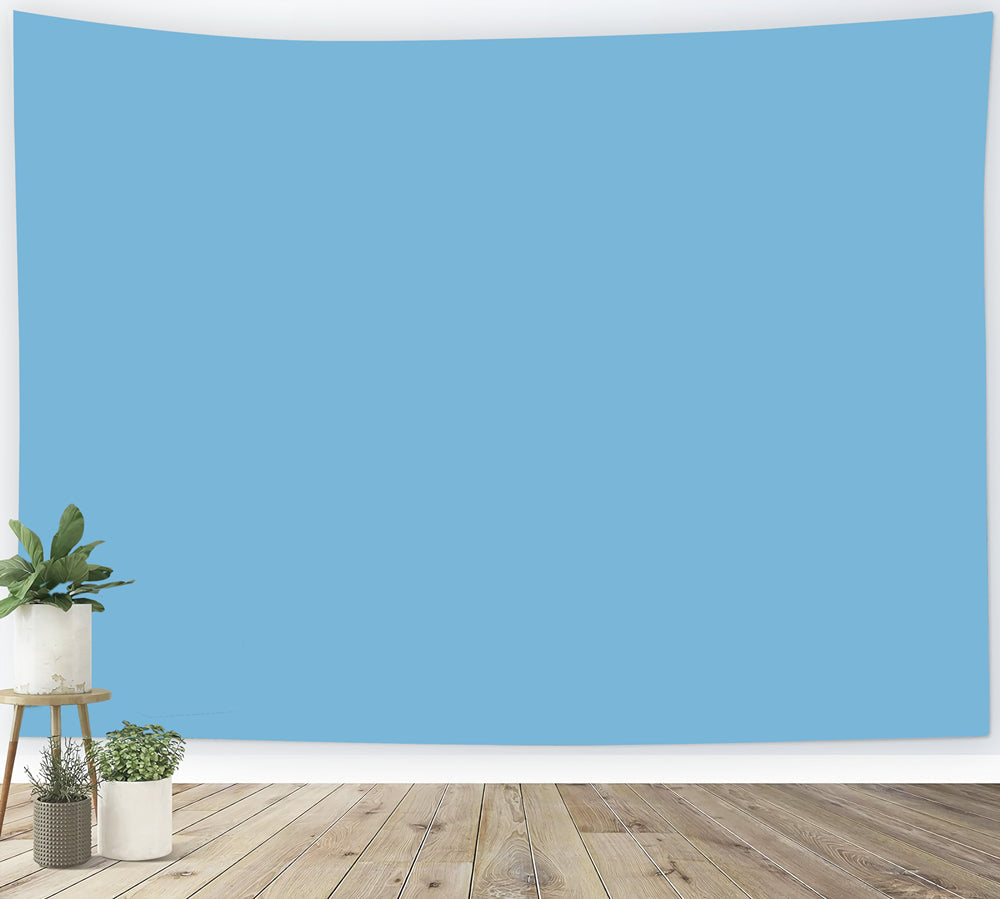 Toile de Fond Bleu Bleu Ciel Frais Ton Pur CSH62-9