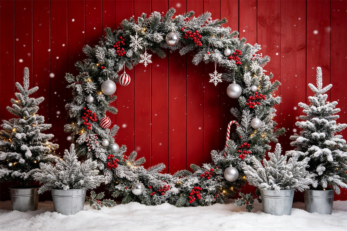 Décor De Photomaton De Noël Mur De Couronne Rouge Givrée Photographie De Décors De Noël CSH69-69