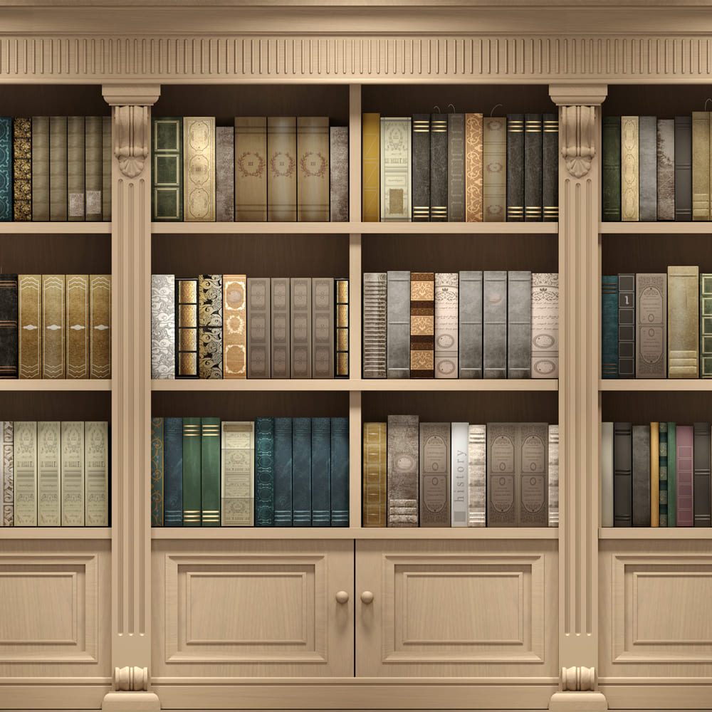 Toile de Fond de Bibliothèque en Bois sur Mur pour la Rentrée Scolaire DBD7-44