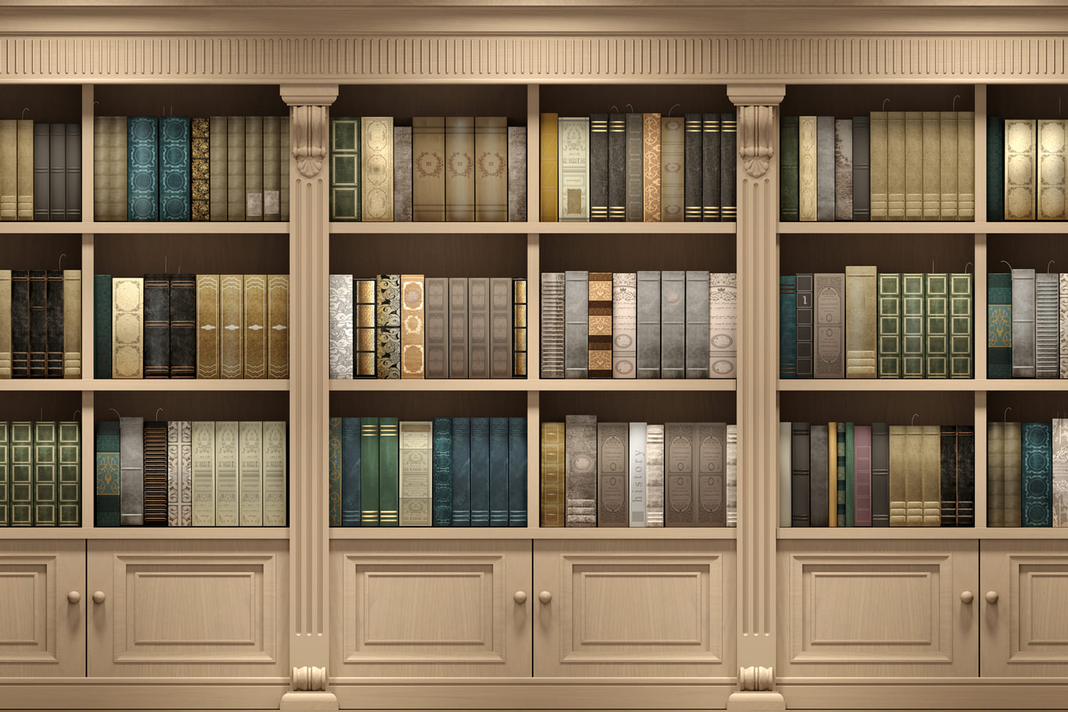 Toile de Fond de Bibliothèque en Bois sur Mur pour la Rentrée Scolaire DBD7-44