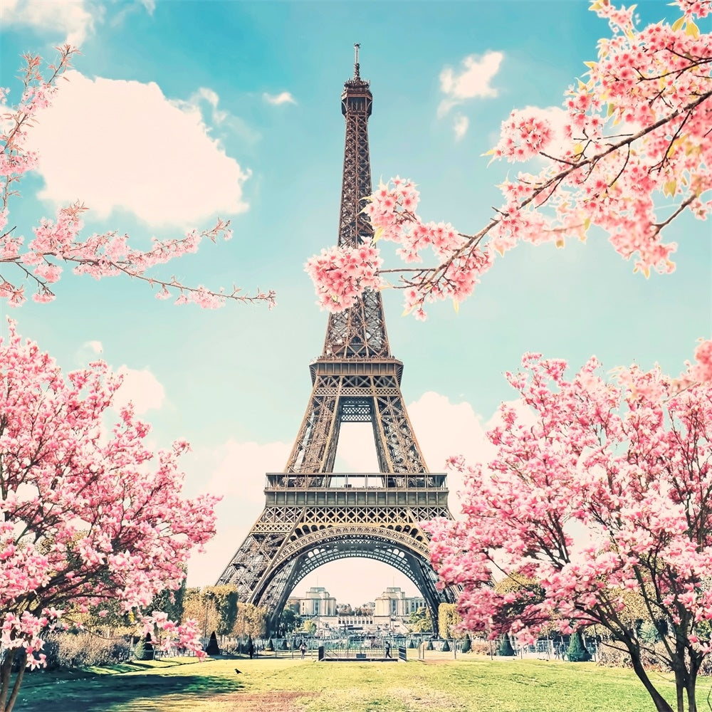Toile de fond Tour Eiffel Paris Cerisiers Romantiques en Fleurs GQ4-55