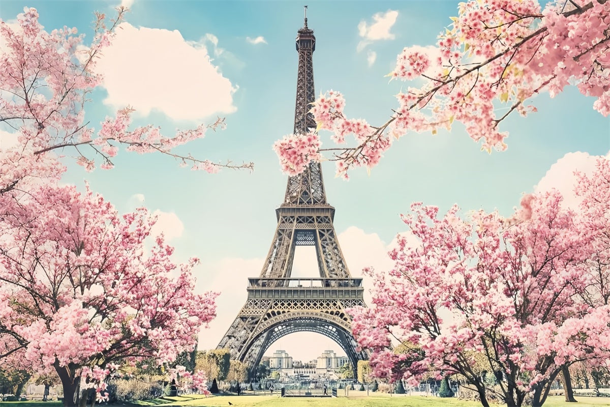 Toile de fond Tour Eiffel Paris Cerisiers Romantiques en Fleurs GQ4-55