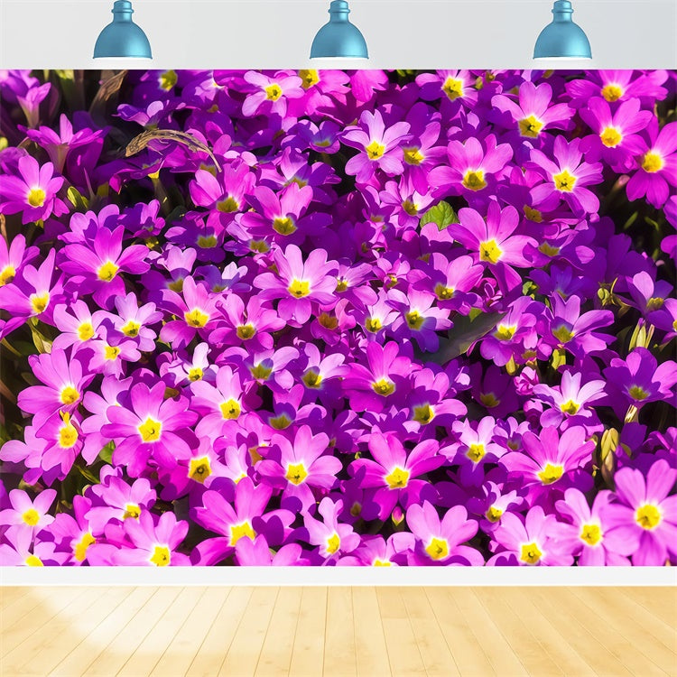 Toile de fond Florale Violette Épanouissement de Fleurs Sauvages Vibrantes GTY3-30