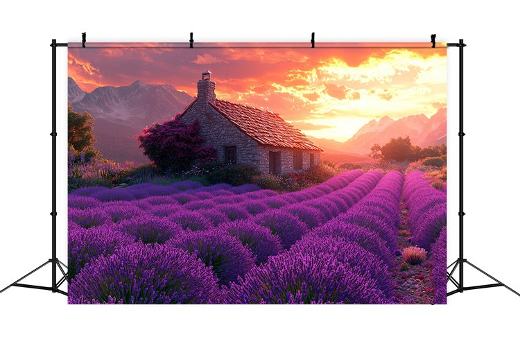 Toile de fond Fleurs Violettes Rêve Champêtre Lavande Coucher de Soleil GTY3-31